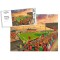 Seaview Stadium Fine Art Jigsaw Puzzle - Crusaders FC